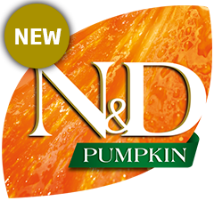 nd-pumpkin-feline-new